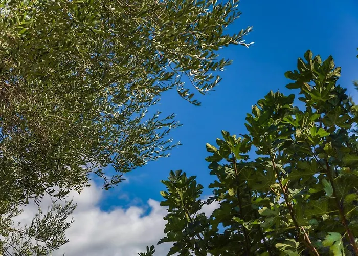 Vila Driftwood Karavádhos