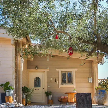 Driftwood Karavádhos