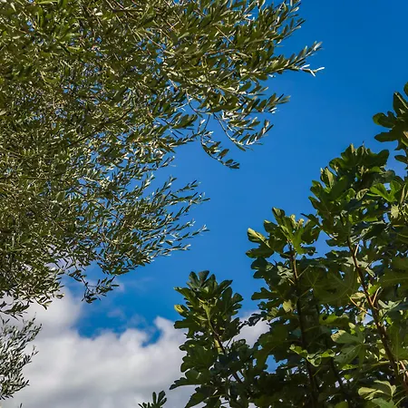 Villa Driftwood Karavádhos